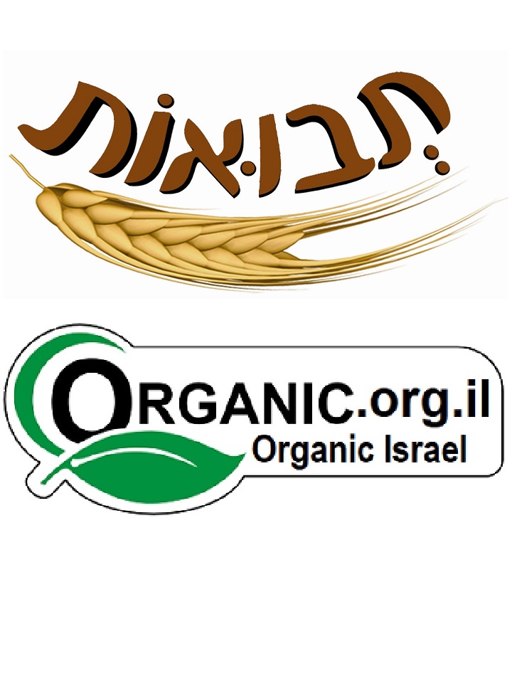 Organic-Brown-Lentils-500g